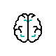 280913858264Brain